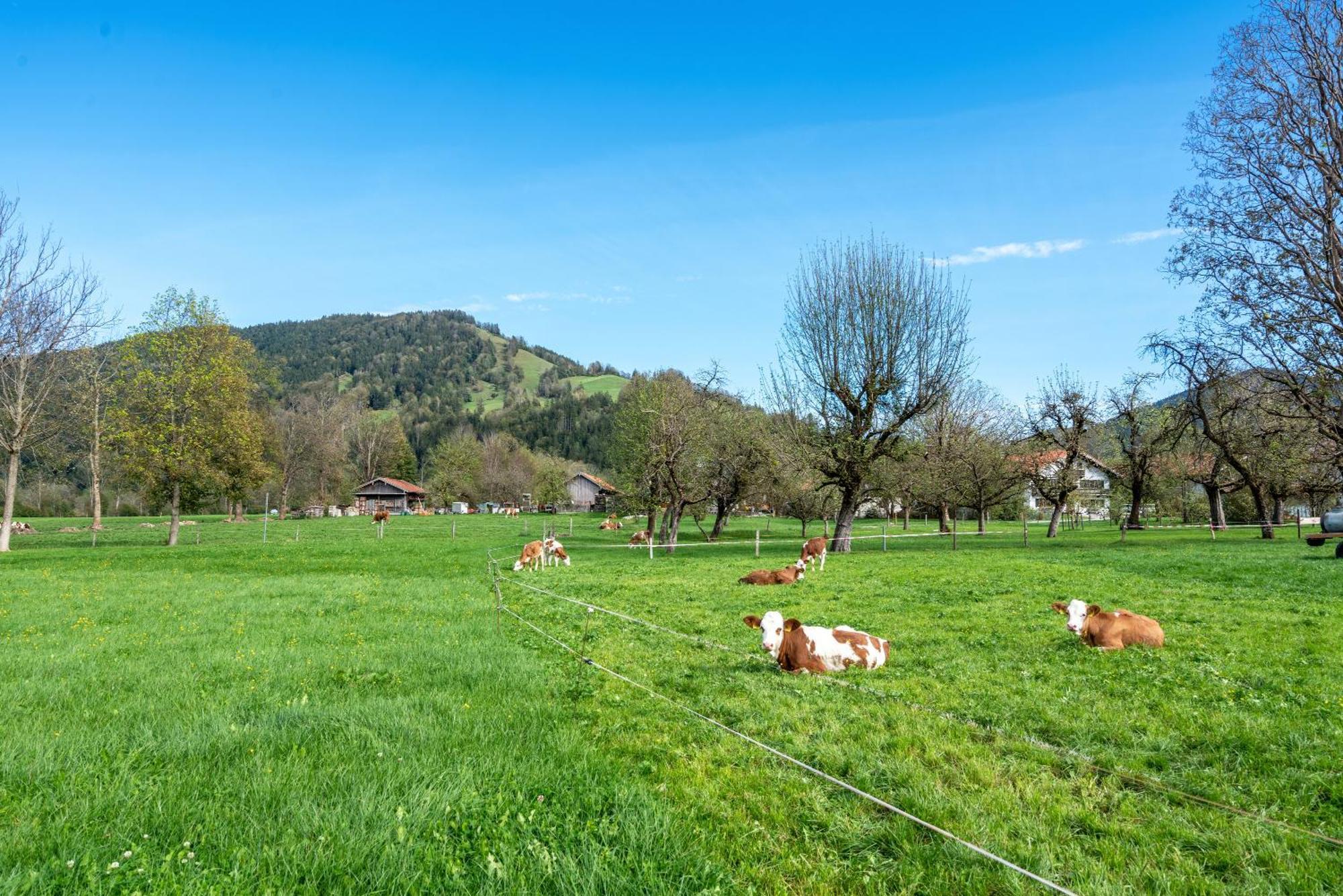 Wohnung Brauneck Gaissach Dış mekan fotoğraf
